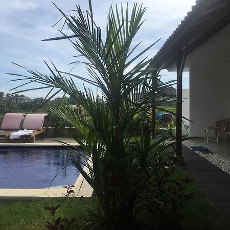 Pererenan Nengah Guest House Canggu Exteriör bild