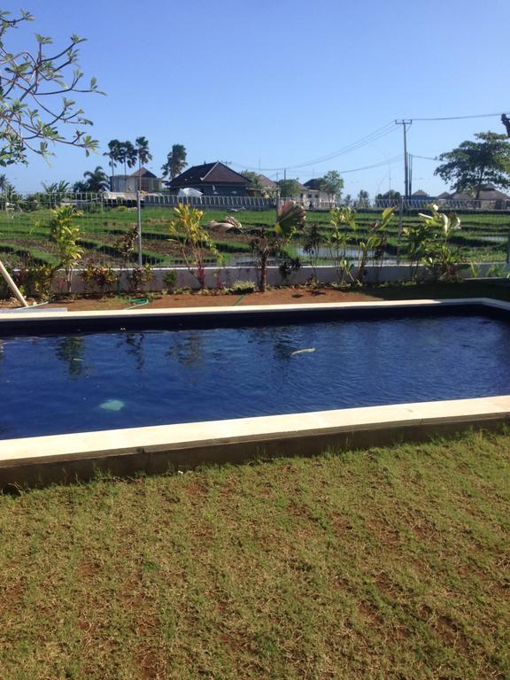 Pererenan Nengah Guest House Canggu Exteriör bild